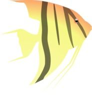 aquarium yellow striped vector fish