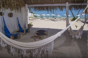 networks under roof on sunny beach