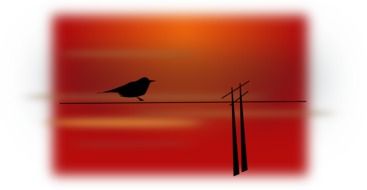 bird scenery silhouette red drawing