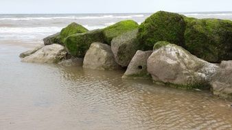 green stones on the beach