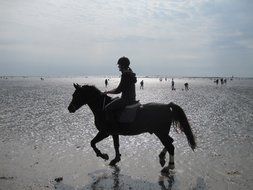 male horse raider on beach