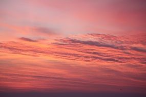 pink sunrise over the beach