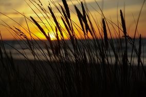 charmingly beautiful midnight sun