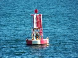 striped sea buoy