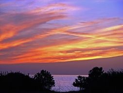 Beautiful colorful sunset over the ocean and coast with the plants