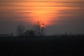 evening sky with red sun over the field