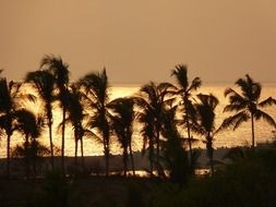 atmospheric landscape at sunset