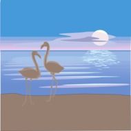 graphic image of two flamingos on the beach