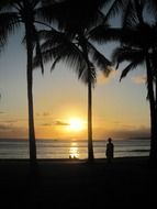 man among palm trees as silhouettes at sunset