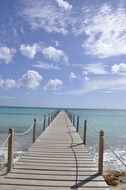 plank pier in the sea
