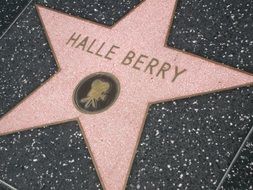 star on berry alley in los angeles