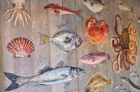 drawings of sea animals on the board