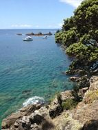 landscape of rocky shore in new zealand