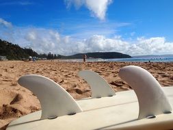 very beautiful beach surfboard