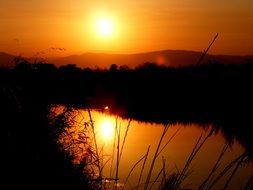 Golden sunset against the backdrop of picturesque nature