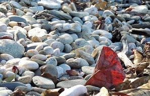 lots of rocks at the sunlight