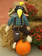 Scarecrow in the autumn