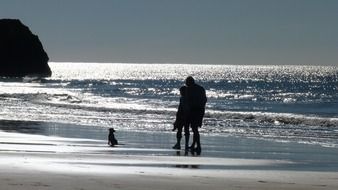 people on the beach near the ocean