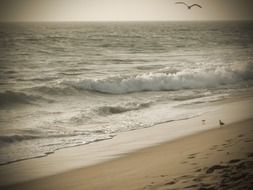 white waves on the beach in Malibu