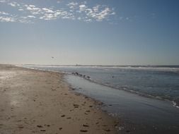 scenery of the ocean beach