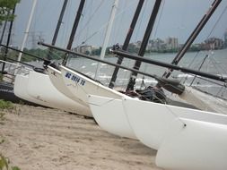 white sailing catamarans on the coast