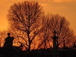 tlandscape of trees and sculptures silhouettes at dusk, france, paris, tuileries garden