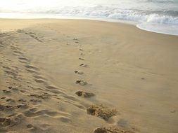 footprints in the sand by the sea