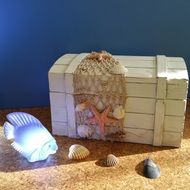 treasure chest with fish