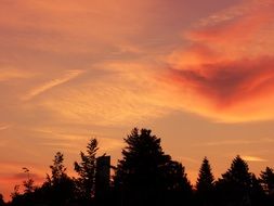 romantic sunset sky above coniferous trees