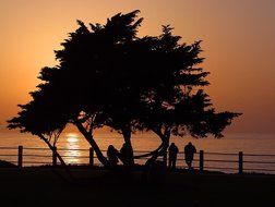 silhouettes of people on the background of a romantic sunset on the shore of the reservoir