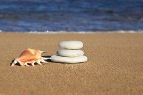 pebble and shell balance on the beach