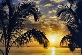 bright golden sunset over the caribbean