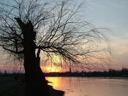 Sunset in Dresden