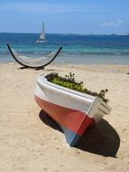 flower bed from a boat on the beach