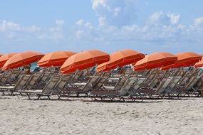 orange umbrellas on the beach