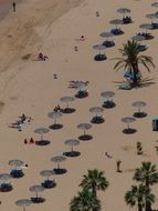 sandy beach in Tenerife