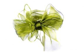 green bow for a gift on a white background