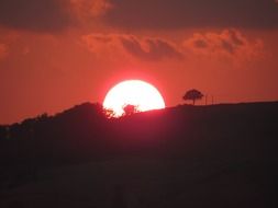 incredibly attractive red sun