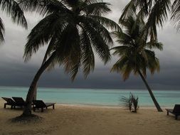 Exotic beach on Maldives