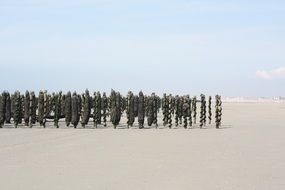 farm of mussels on a sandy beach