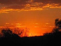 orange gold vivid sunset