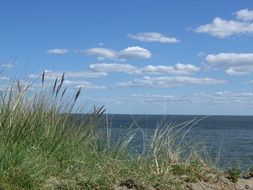 sylt summer