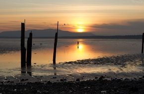 sunset reflected in the surface of the water