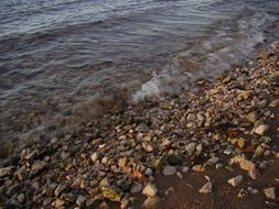 fallen leaves among stones on bank of river