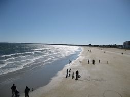 people walking on beach at sea
