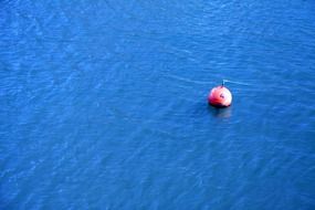 top view of a red buoy in the ocean