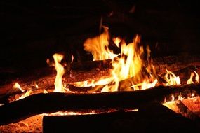 fire in a big bonfire close up