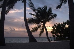 maldives beach at the sunset