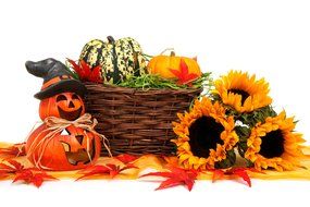 autumn halloween basket