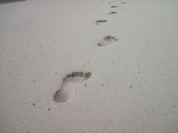 human footprints on a sandy beach